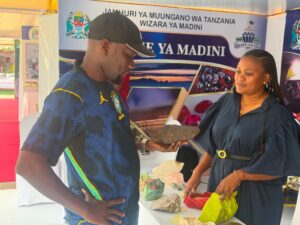 UKAGUZI WA LESENI ZA MADINI WAIMARISHA UZINGATIAJI WA SHERIA NCHINI – Habari Mpya